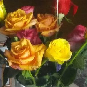 Meet your Posher, Shirley